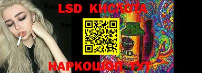 амф Камышлов