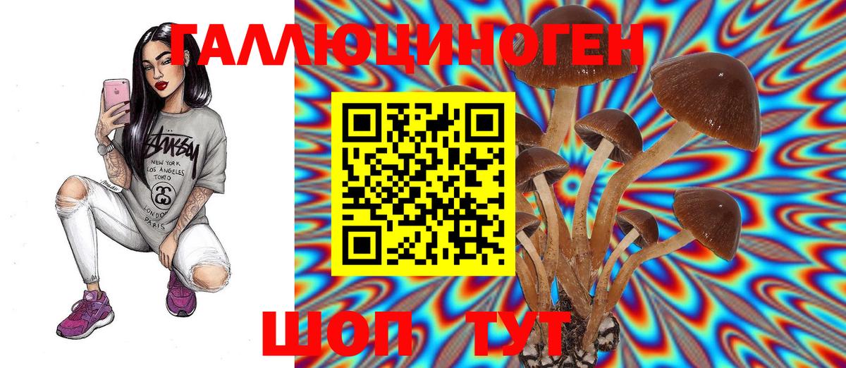 Кропоткин  Галлюциногенные грибы GOLDEN TEACHER  Псилоцибиновые грибы MAGIC MUSHROOMS  Вход с VPN 