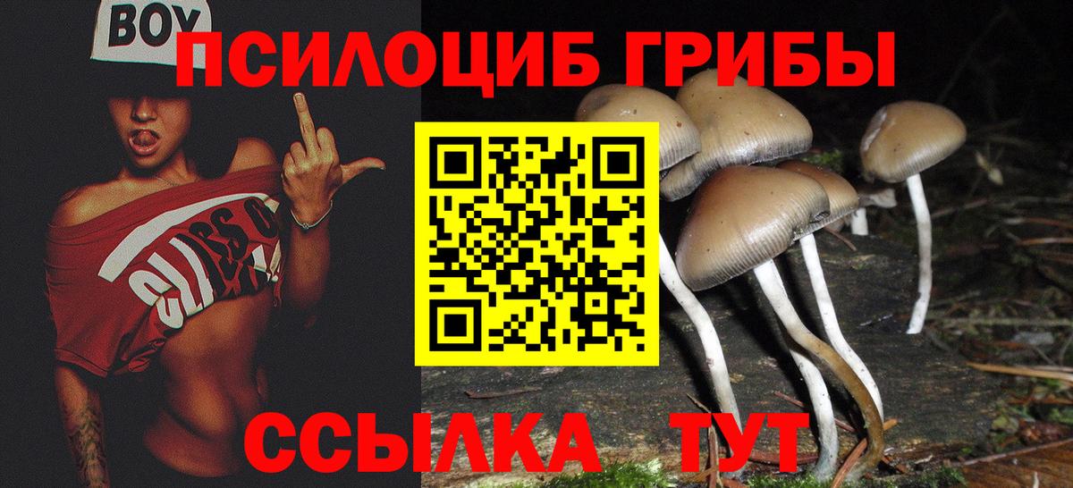 Галлюциногенные грибы Cubensis Кропоткин
